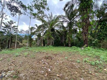 TERRENO PLANO LISTO PARA CONSTRUIR EN URBANIZACIÓN PRIVADA - 1000 M2
