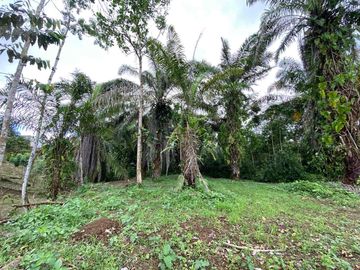 TERRENO PLANO LISTO PARA CONSTRUIR EN URBANIZACIÓN PRIVADA - 1000 M2