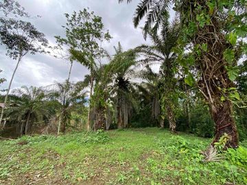 TERRENO PLANO LISTO PARA CONSTRUIR EN URBANIZACIÓN PRIVADA - 1000 M2