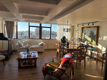 Departamento, Freire