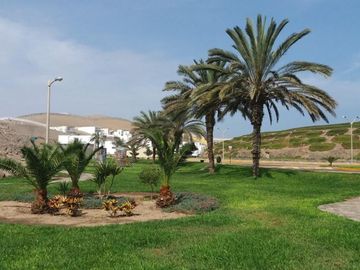 CASA DE PLAYA EN VENTA US$ 380,000, PLAYA PALMERAS KM 123.5 PAN SUR