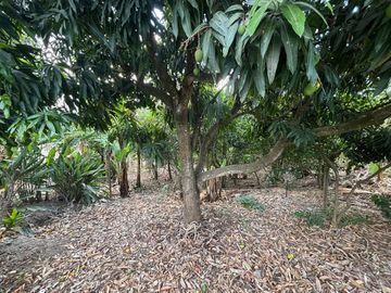Amplia propiedad en venta en Malacatos