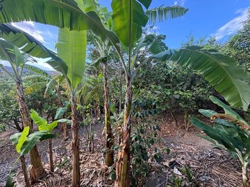 Amplia propiedad en venta en Malacatos