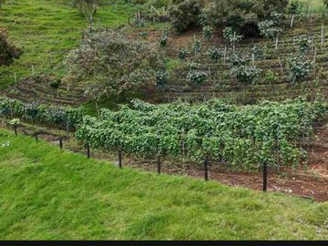 Hermosa Hacienda en Venta