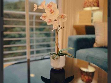 Vendo  Oportunidad floridablanca  para AIRBNB  ,lindo apartamento estudio una alcoba amoblado  de lujo.