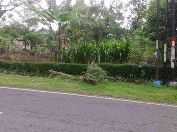 Tanah jalan raya mojogedang dekat pasar 351meter 1.7jt/m