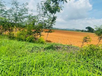 92772 - ขายที่ดินเปล่า 55 ไร่ ลพบุรี ต.ช่องสาริกา อ.พัฒนานิคม