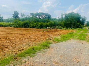 92772 - ขายที่ดินเปล่า 55 ไร่ ลพบุรี ต.ช่องสาริกา อ.พัฒนานิคม