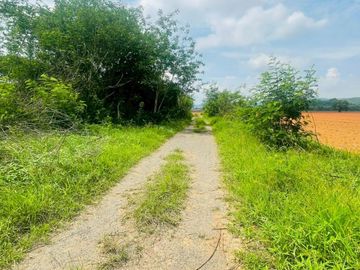 92772 - ขายที่ดินเปล่า 55 ไร่ ลพบุรี ต.ช่องสาริกา อ.พัฒนานิคม