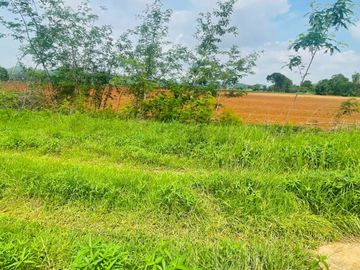 92772 - ขายที่ดินเปล่า 55 ไร่ ลพบุรี ต.ช่องสาริกา อ.พัฒนานิคม