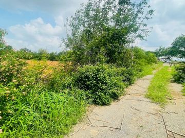 92772 - ขายที่ดินเปล่า 55 ไร่ ลพบุรี ต.ช่องสาริกา อ.พัฒนานิคม