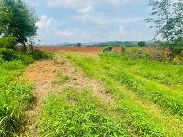 92772 - ขายที่ดินเปล่า 55 ไร่ ลพบุรี ต.ช่องสาริกา อ.พัฒนานิคม