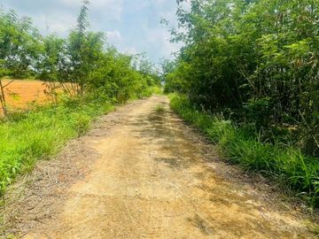 92772 - ขายที่ดินเปล่า 55 ไร่ ลพบุรี ต.ช่องสาริกา อ.พัฒนานิคม