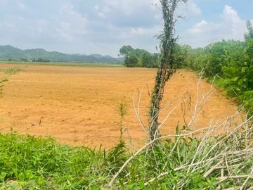 92772 - ขายที่ดินเปล่า 55 ไร่ ลพบุรี ต.ช่องสาริกา อ.พัฒนานิคม