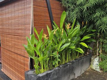 QUICK SALE FIRST HAND HOUSE 2 BEDROOM IN SEMER - KEROBOKAN - BALI