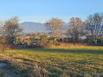 ¡Oferta de Lanzamiento! Dos Parcelas Exclusivas de 5.000 m² con Vista al Lago y Volcán – A 2 km de Panguipulli