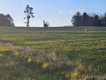 Hermosas Parcelas con Vista al Lago Panguipulli y Volcanes – Proyecto Exclusivo en Panguipulli