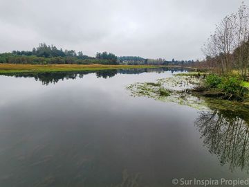 Espectacular Parcela de 5.000 m² con Frente al Río Cayumapu – Condominio Norte de Valdivia