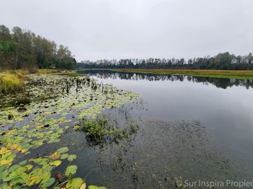 Espectacular Parcela de 5.000 m² con Frente al Río Cayumapu – Condominio Norte de Valdivia