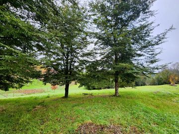Espectacular Parcela de 5.000 m² con Frente al Río Cayumapu – Condominio Norte de Valdivia