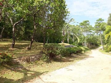 For Sale: Beautiful Private Beachfront Villas-Resort located at Barangay San Roque, Nueva Valencia, Guimaras