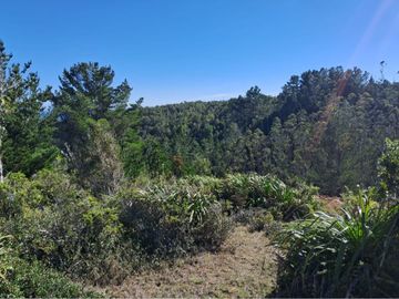 Parcelas San Ignacio Alto