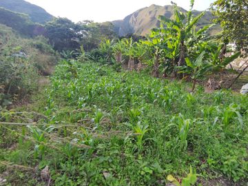 Terreno de venta de mil m2 en Landangui Malacatos