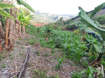 Terreno de venta de mil m2 en Landangui Malacatos