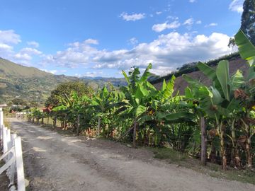 Terreno de venta de mil m2 en Landangui Malacatos
