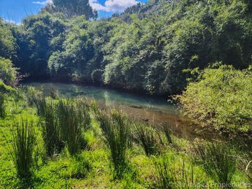 Linda Parcela de 5.000 m² con Acceso al Río Temuleufu – Mayay, Llifén