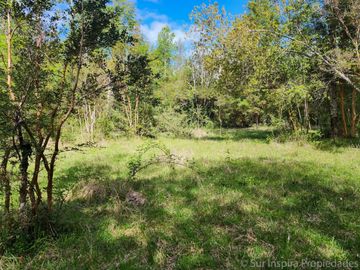 Linda Parcela de 5.000 m² con Acceso al Río Temuleufu – Mayay, Llifén