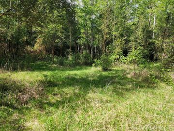 Linda Parcela de 5.000 m² con Acceso al Río Temuleufu – Mayay, Llifén