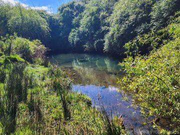 Linda Parcela de 5.000 m² con Acceso al Río Temuleufu – Mayay, Llifén