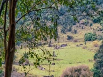 Linda Parcela de 5.000 m² con Acceso al Río Temuleufu – Mayay, Llifén