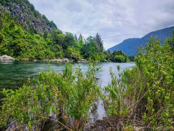 Proyecto Exclusivo: 5 Parcelas a Orilla del Río Calcurrupe – Región de Los Ríos, Futrono