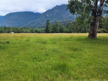 Proyecto Exclusivo: 5 Parcelas a Orilla del Río Calcurrupe – Región de Los Ríos, Futrono