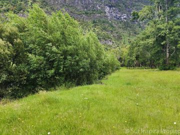 Proyecto Exclusivo: 5 Parcelas a Orilla del Río Calcurrupe – Región de Los Ríos, Futrono
