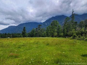 Proyecto Exclusivo: 5 Parcelas a Orilla del Río Calcurrupe – Región de Los Ríos, Futrono