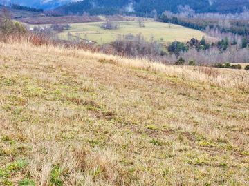 Se Vende Campo de 150 Hectáreas – Sector Dollinco, a 22 km de Panguipulli