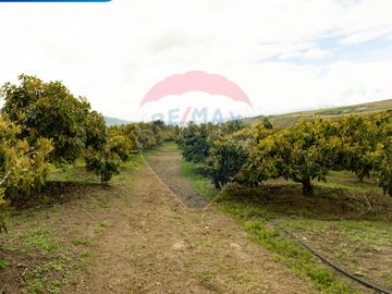 VENTA CASA DE CAMPO EN MIRA TERRENO EN PRODUCCION