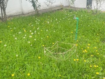 Casa en venta en el centro histórico de Cuenca, NO Inventariada, con 500m2 de Terreno.