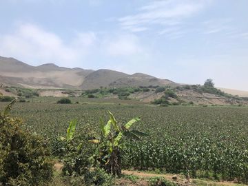 VENTA DE TERRENO EN EL HATILLO, CHANCAY, HUARAL