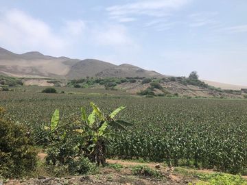 VENTA DE TERRENO EN EL HATILLO, CHANCAY, HUARAL