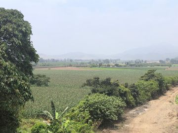 VENTA DE TERRENO EN EL HATILLO, CHANCAY, HUARAL