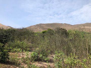 VENTA DE TERRENO EN EL HATILLO, CHANCAY, HUARAL
