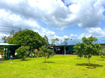 Over 4 Rai with Established Curry & Dim Sum Restaurant Business for Sale, on Main Road, Phang Nga