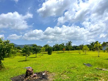 Over 4 Rai with Established Curry & Dim Sum Restaurant Business for Sale, on Main Road, Phang Nga