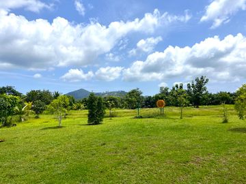 Over 4 Rai with Established Curry & Dim Sum Restaurant Business for Sale, on Main Road, Phang Nga