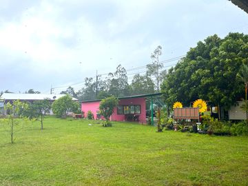 Over 4 Rai with Established Curry & Dim Sum Restaurant Business for Sale, on Main Road, Phang Nga