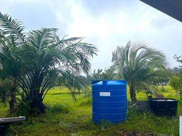 Over 4 Rai with Established Curry & Dim Sum Restaurant Business for Sale, on Main Road, Phang Nga